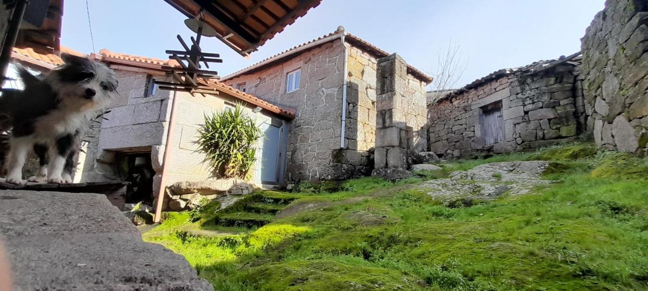 הוילה וילה פוקה דה אגיאר Casa Padre Manuel Do Couto מראה חיצוני תמונה